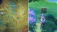 Location of Luxurious Chest (Image via Genshin Impact)